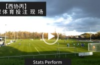 #协议 #假球 #协议现场 20231112 【西协丙】.mp4