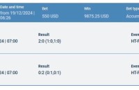 Congratulations to the 50 people who purchased the Beta Portfolio on December 20, 2024, 02:00