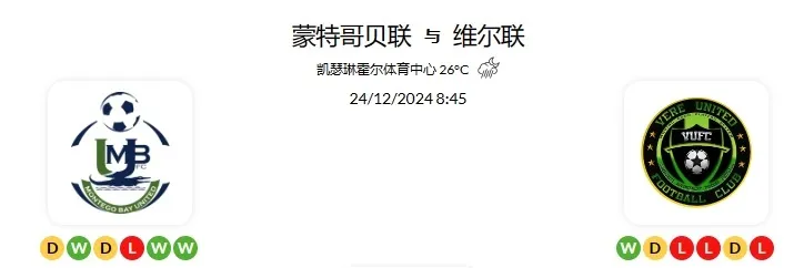 2024 年 12 月23日  官网会员今日精选推荐记录